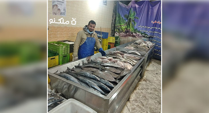 بازار ماهی فروشی شهرک عرب های مشهد